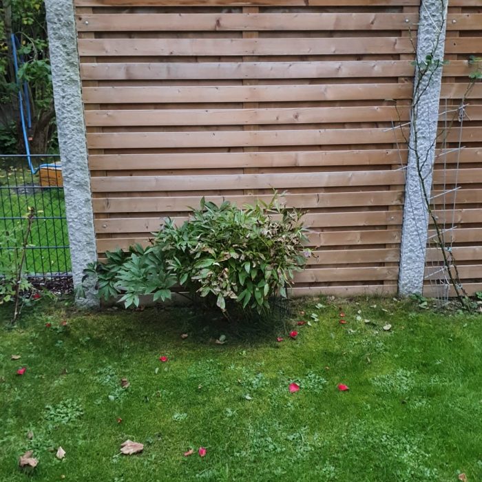 237a1da5-a9c4-4f0a-9b47-9f79f13bf956