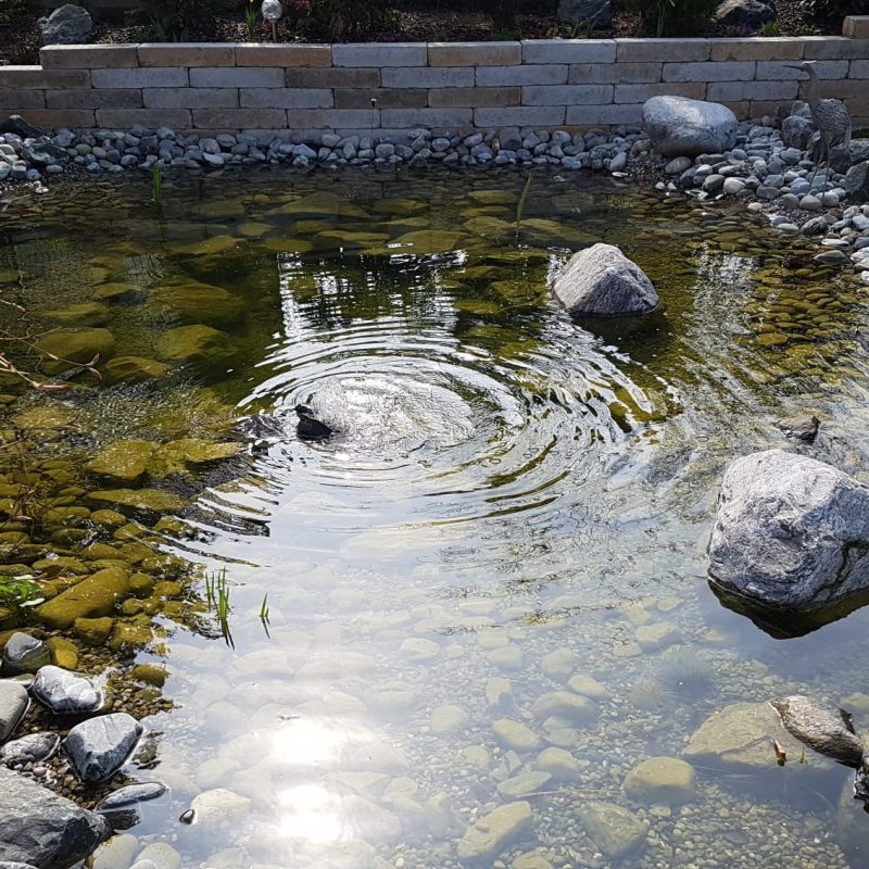 b44d3eb1-ce54-4380-ac48-69673bf8e3d3